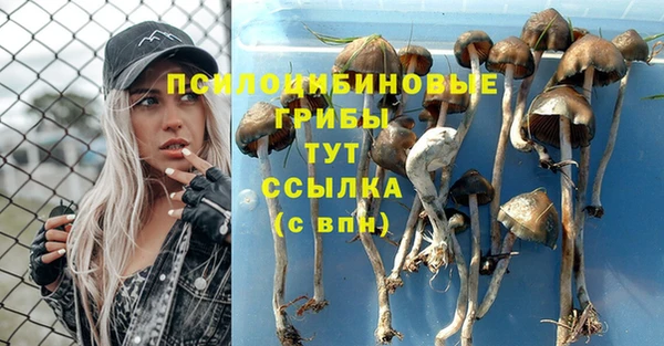 МДПВ Алексин