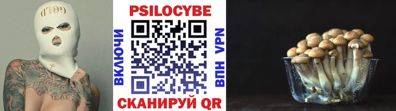Псилоцибиновые грибы мухоморы  кракен сайт  Одинцово 
